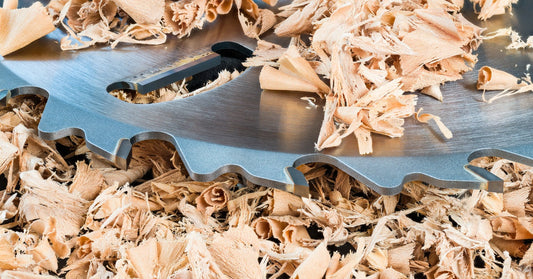 A fresh, carbide saw blade sitting on a bed of wood shavings. The wood shavings also cover the blade on top.